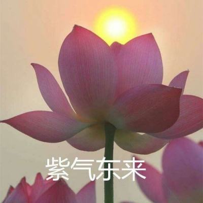超级女神之光手游最新版下载